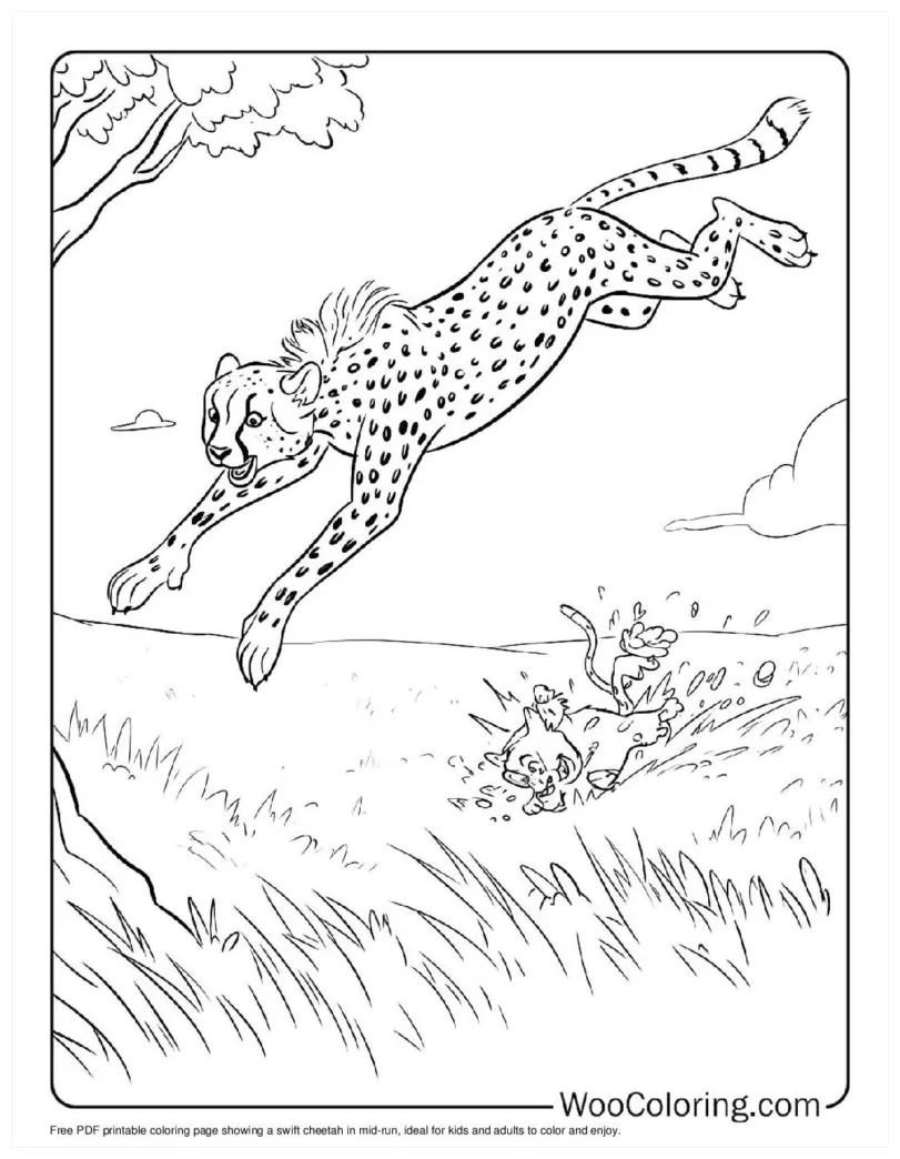 Cheetah running coloring page