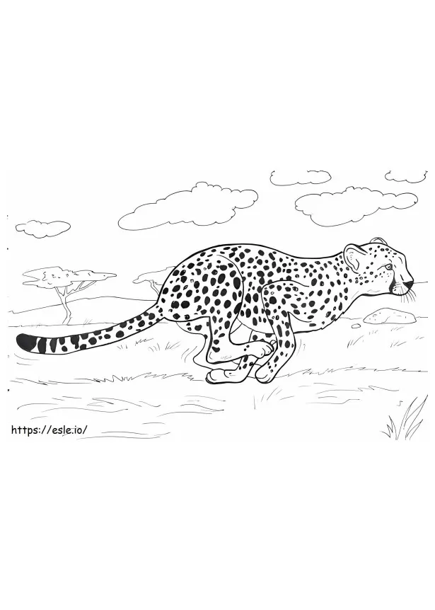 Cheetah running coloring pages [2025]