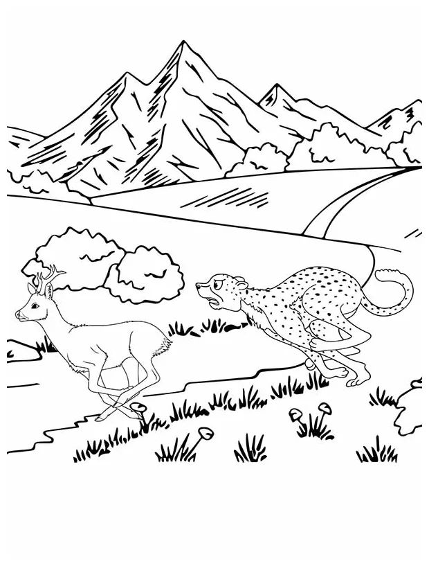 Cheetah coloring pages free printable coloring pages for kids