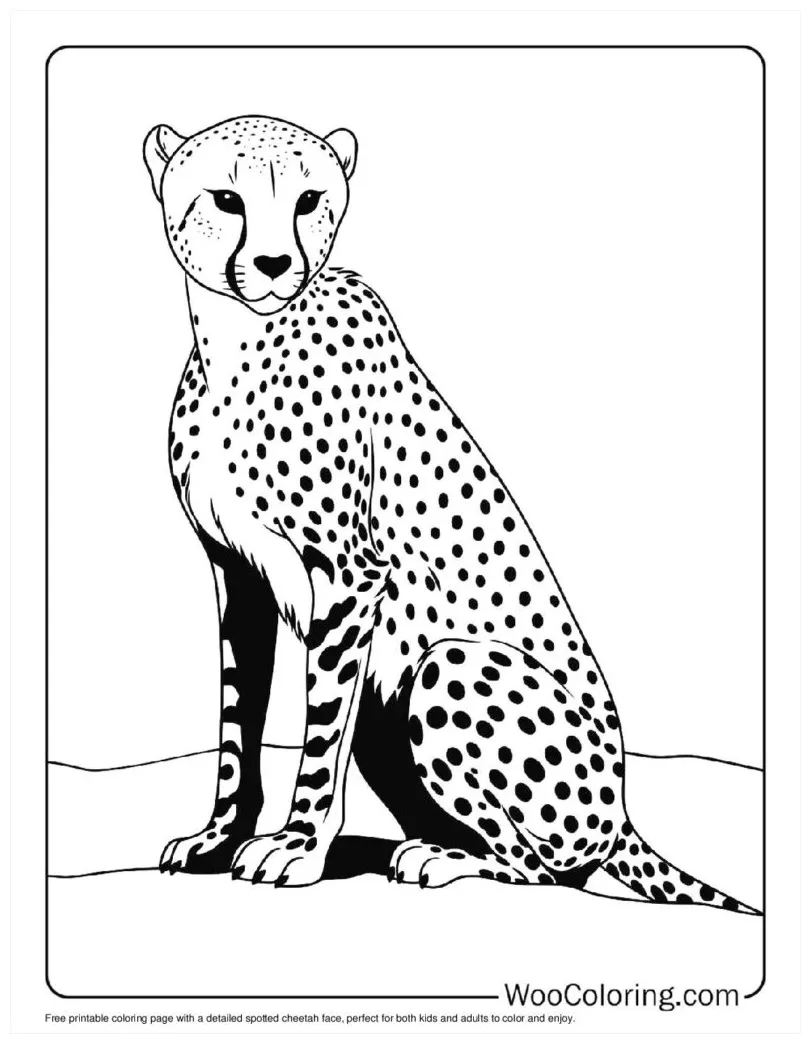 100+ cheetah coloring pages free pdf to print woo coloring