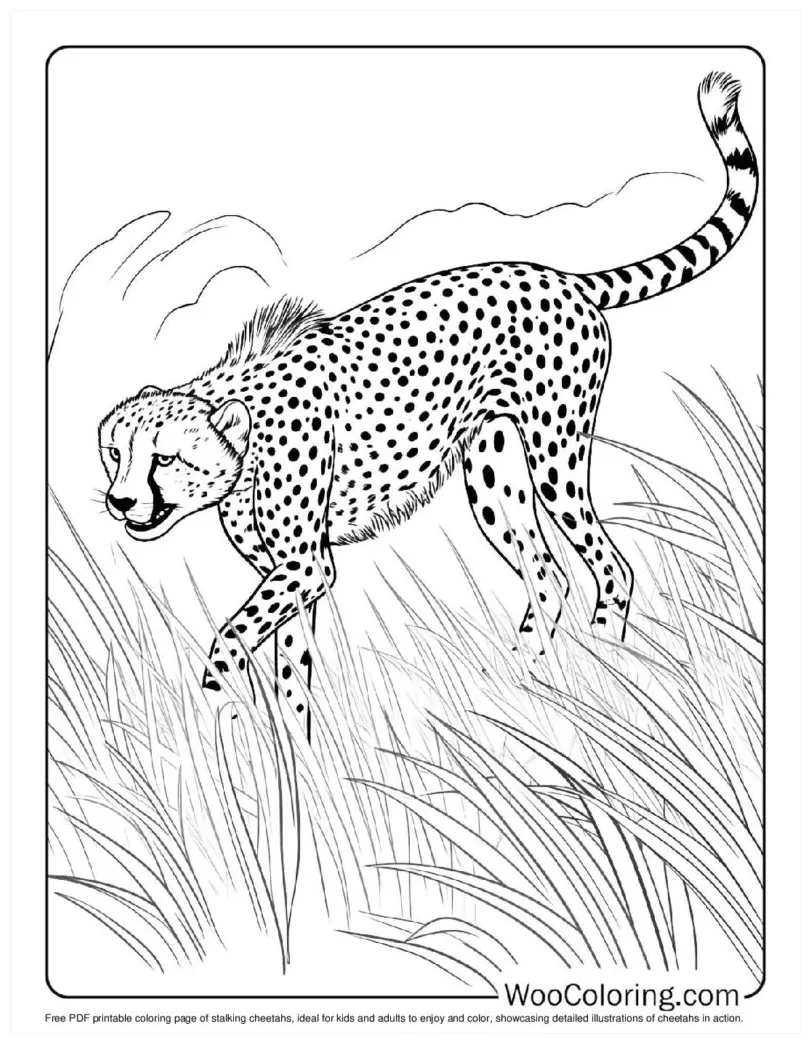 100+ cheetah coloring pages free pdf to print woo coloring