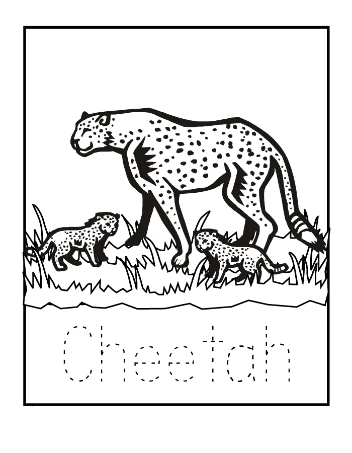 Cheetah coloring page animals town free cheetah color sheet