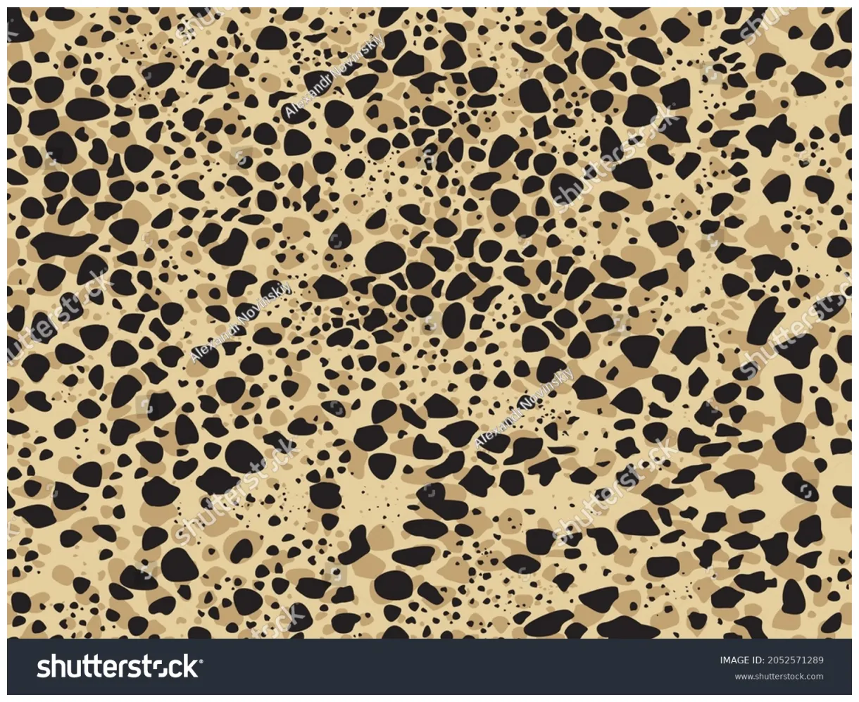 Cheetah spots pattern design vector illustration stock vector royalty