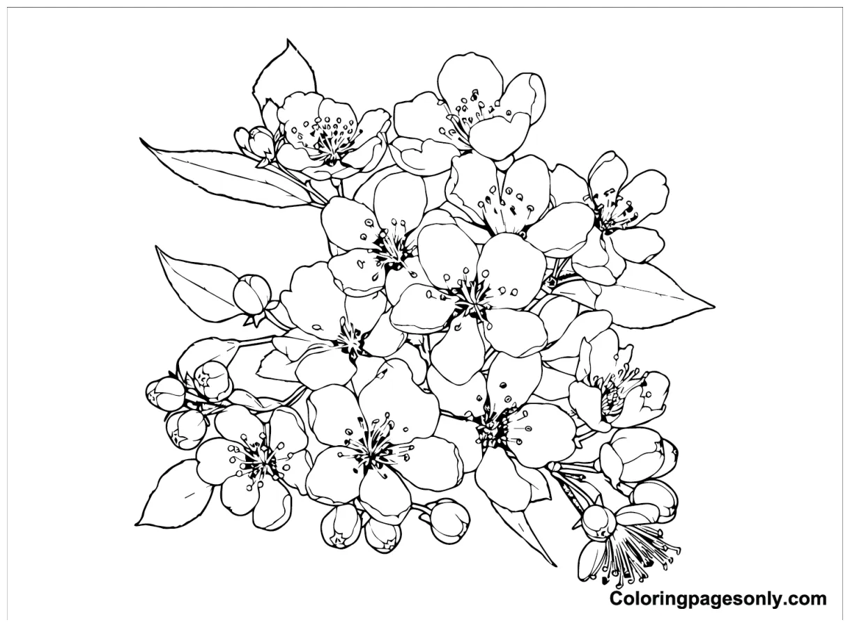 26 s coloringpagesonly