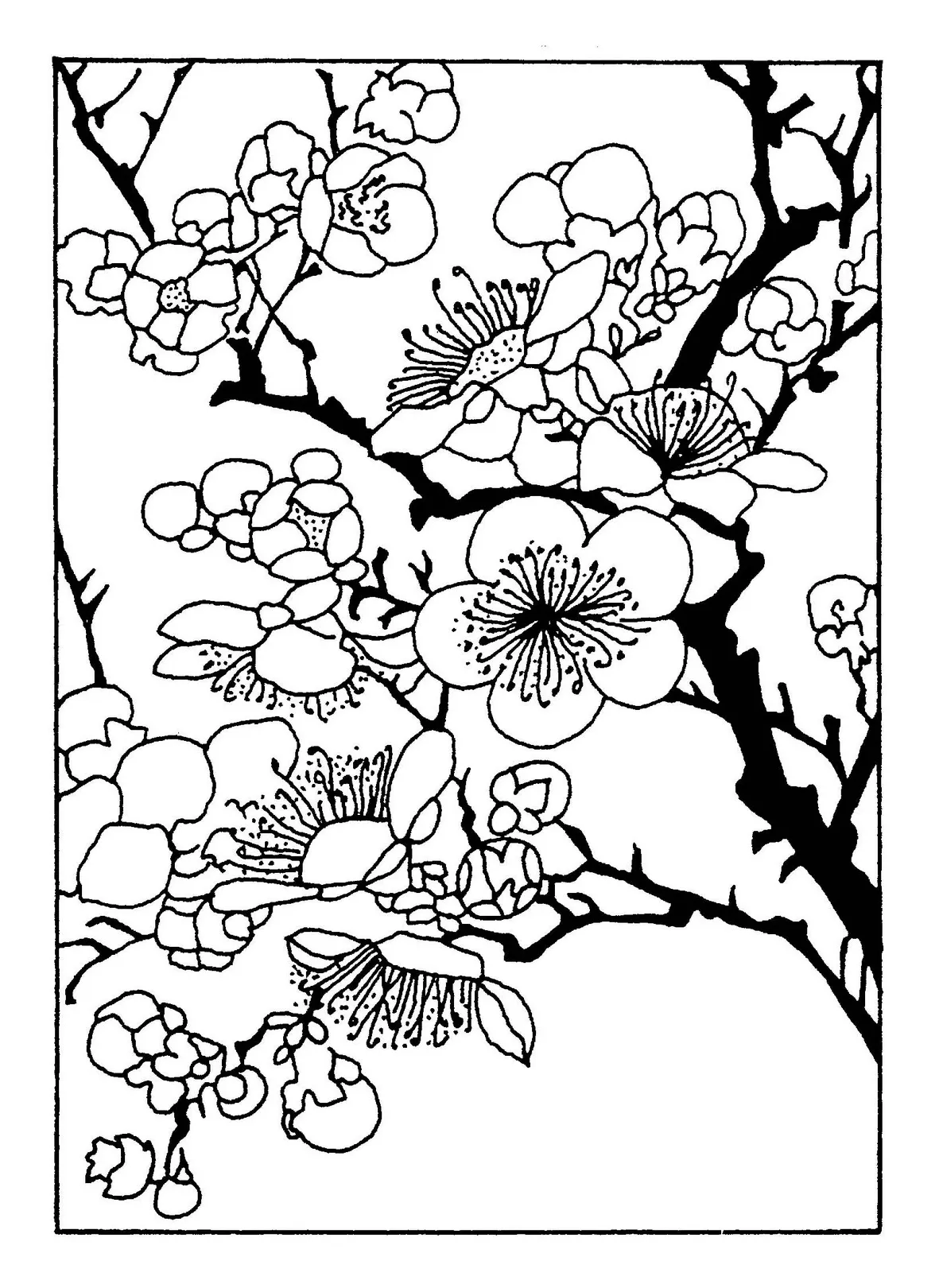 At getcolorings free printable