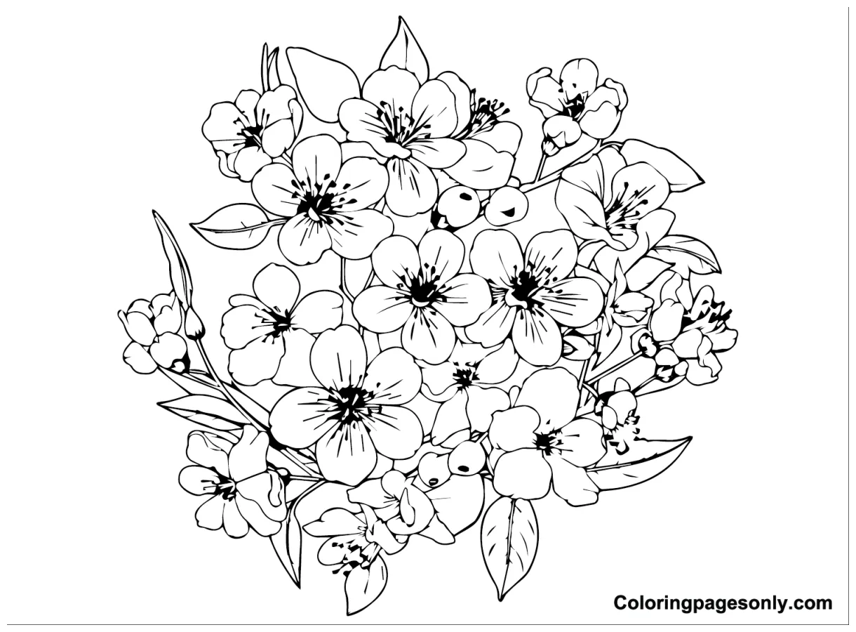 26 s coloringpagesonly