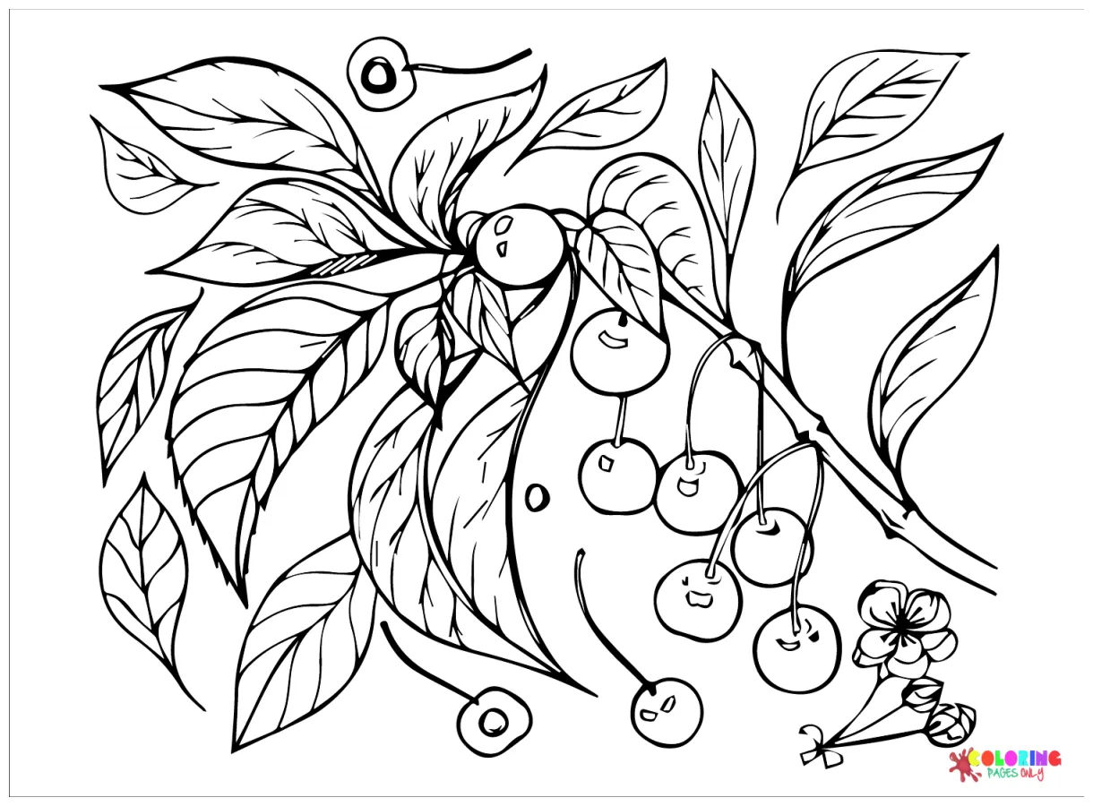 Drawing cherry coloring page free printable coloring pages