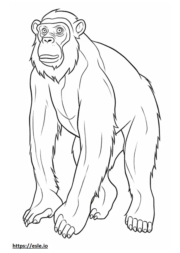 S free printable printable coloring page
