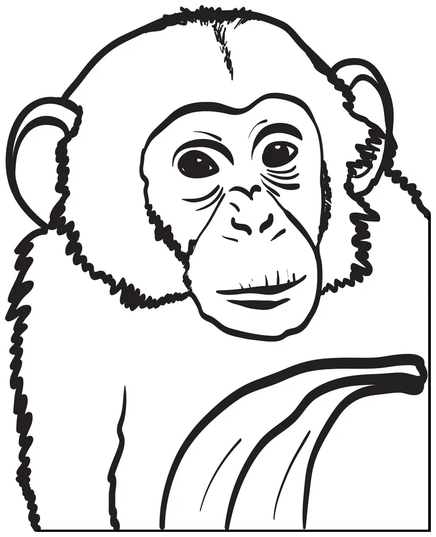 Printable for kids supplyme