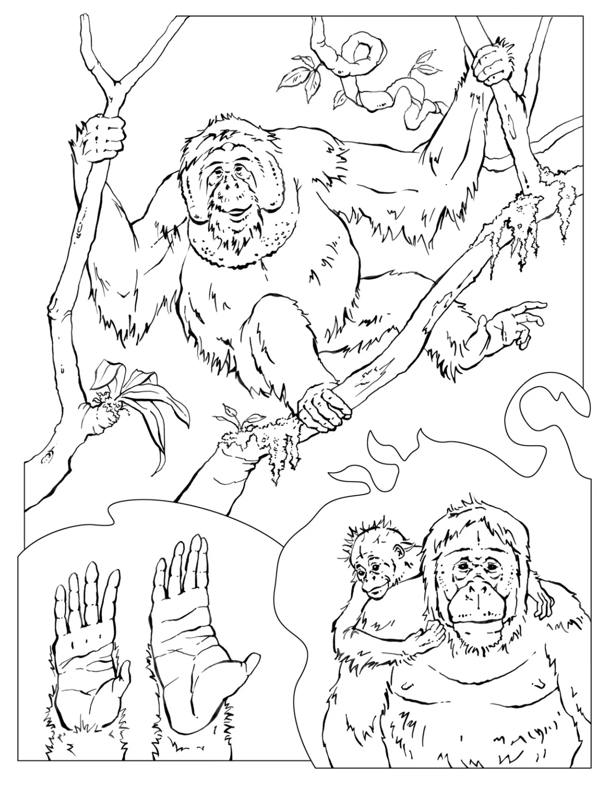 Free printable s for kids