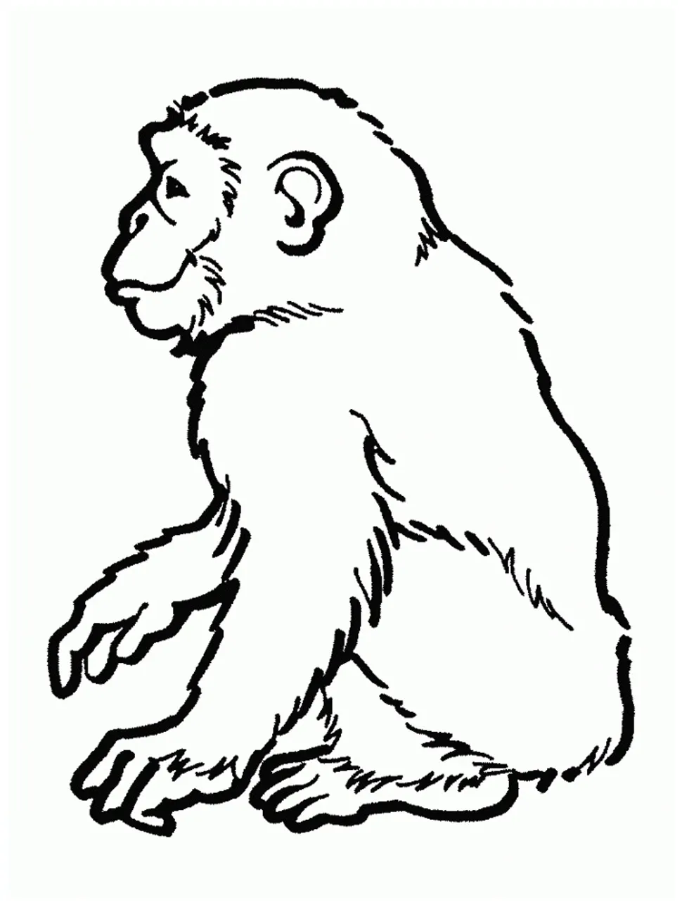 Free printable s for kids