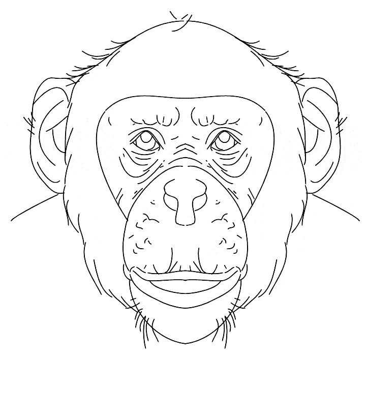 Animals town animals color sheet printable coloring page