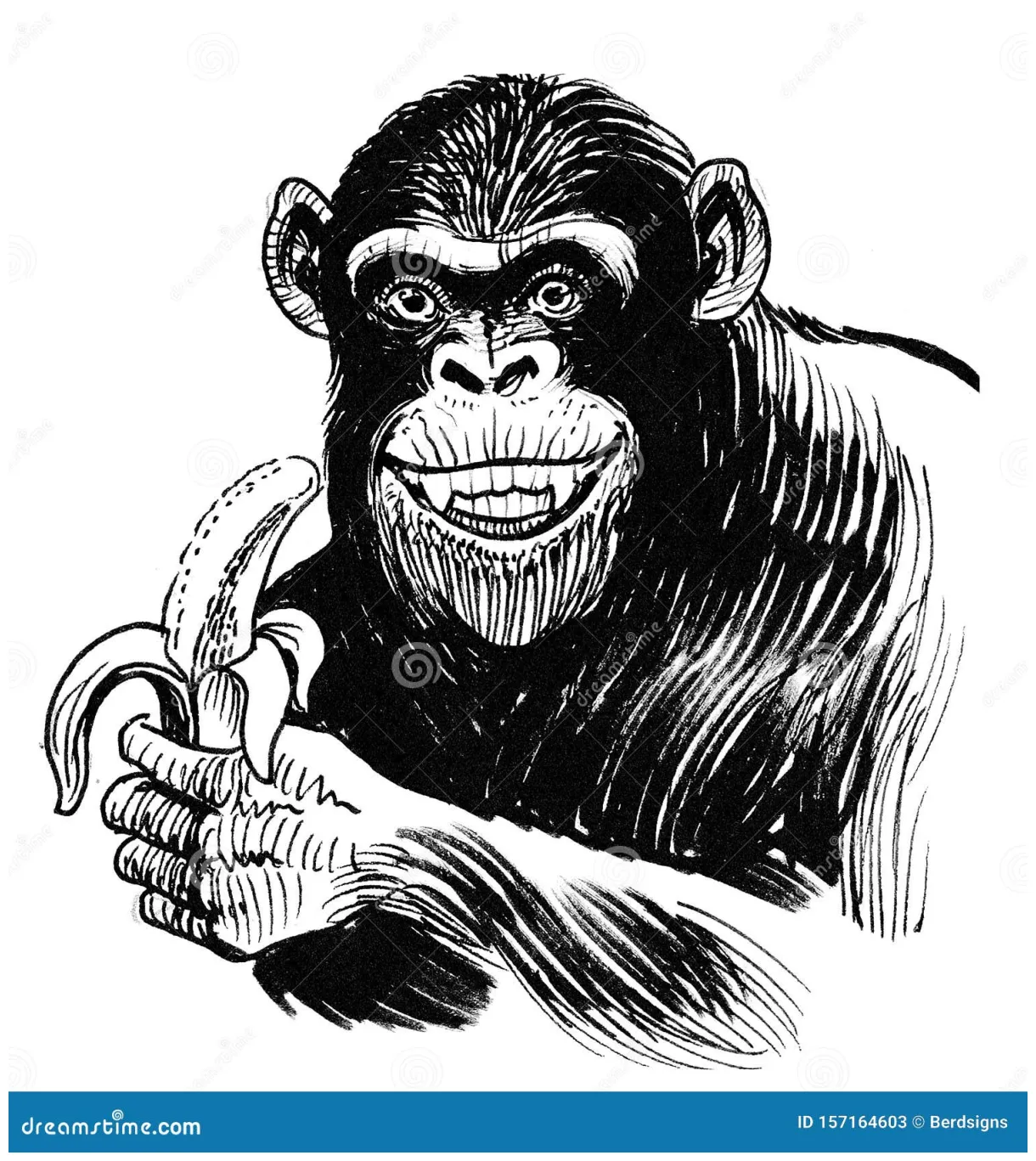 Chimpanzee eating a banana stock illustration. Illustration of happy