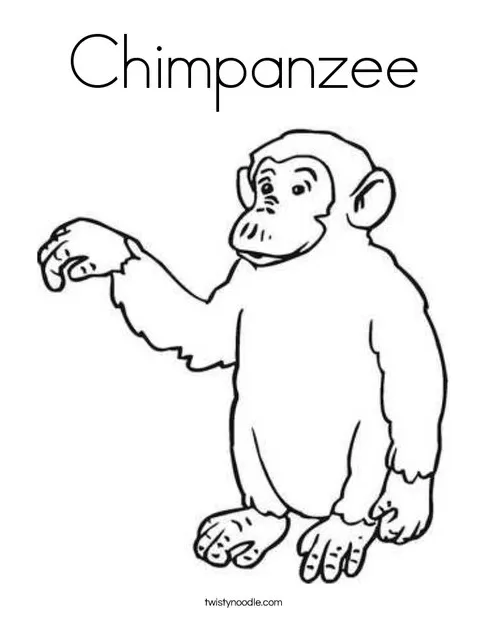 Chimpanzee coloring page twisty noodle