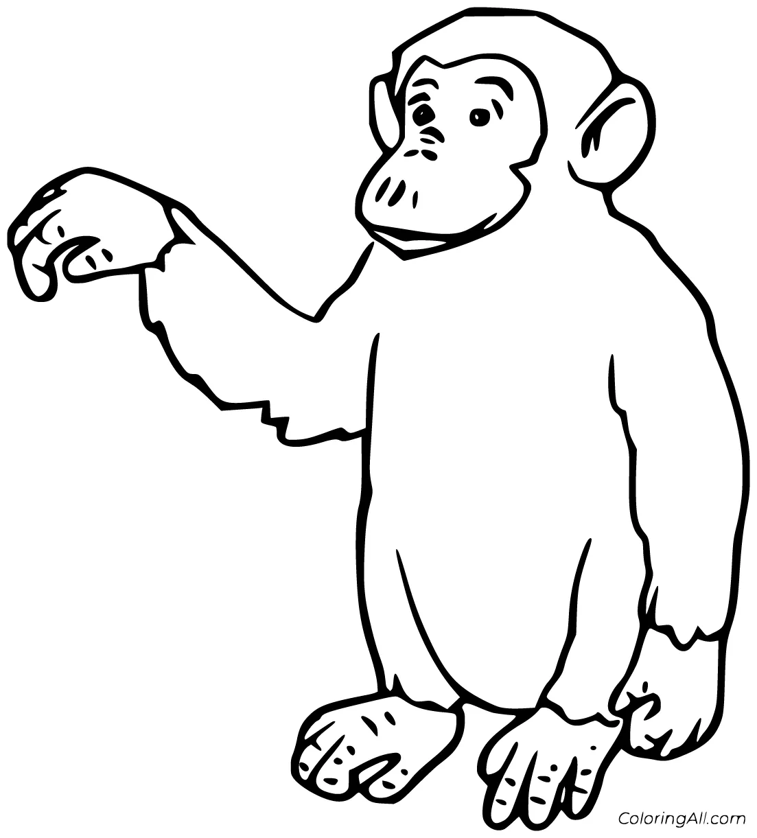Chimpanzee coloring pages 17 free printables coloringall