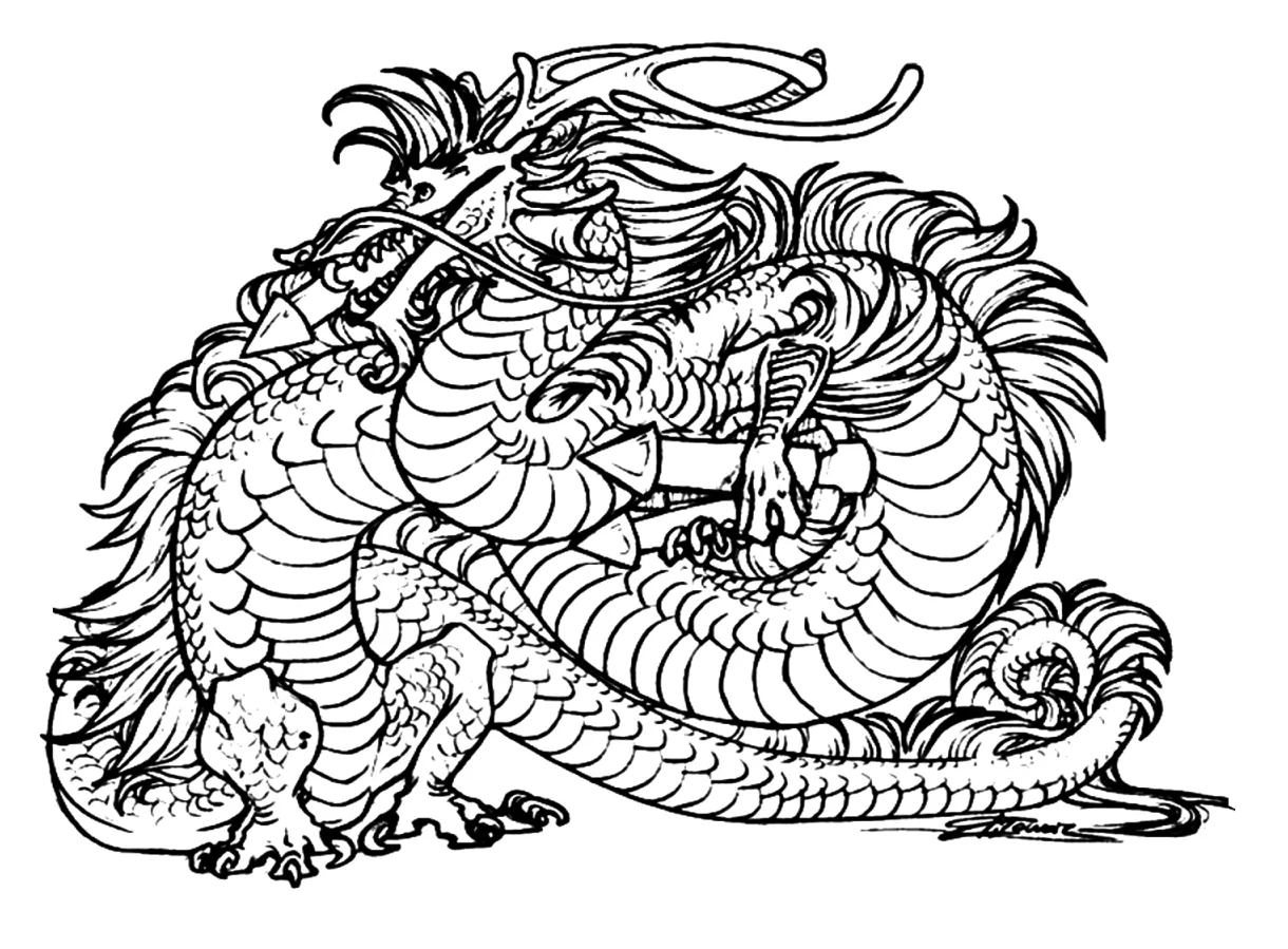 Dragon coloring page png coloring pages dragon coloring pages