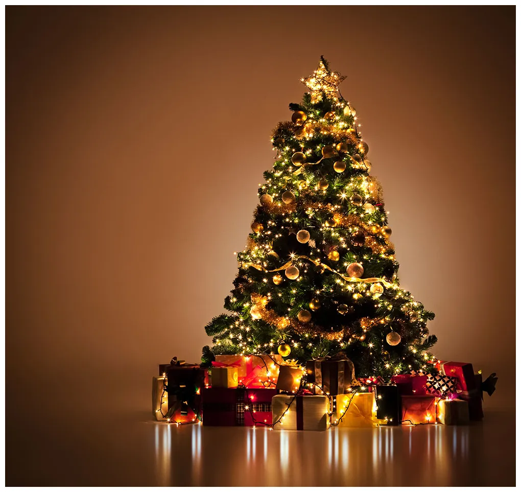 Christmas holiday smart