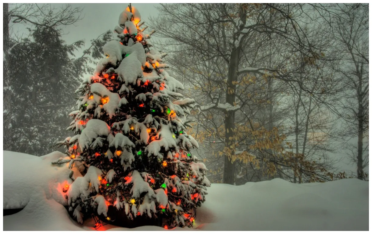 Of a snowy christmas tree with holiday lights
