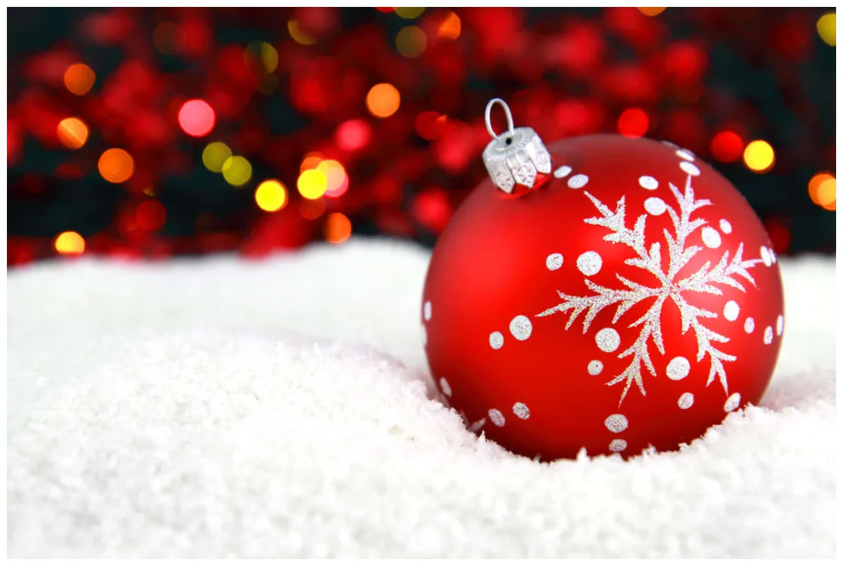 10 christmas tree facts to make you feel festive the list love