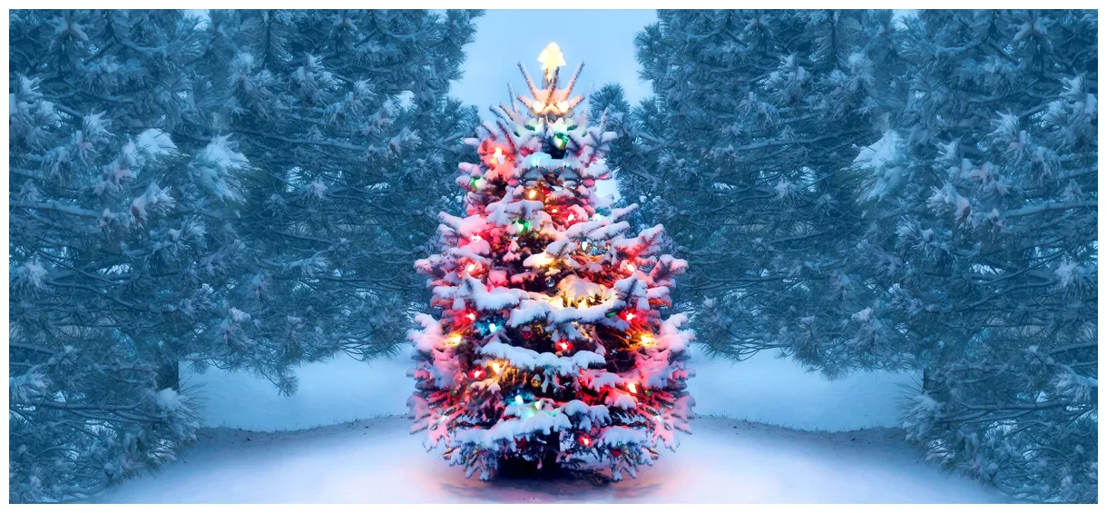 The evolution of the history of christmas decorations through the centuries