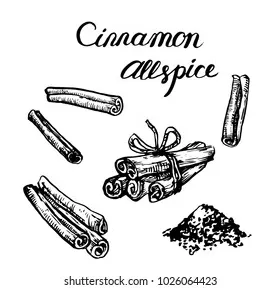 203 cinnamon sticks coloring page royalty-free s and stock s printable coloring page