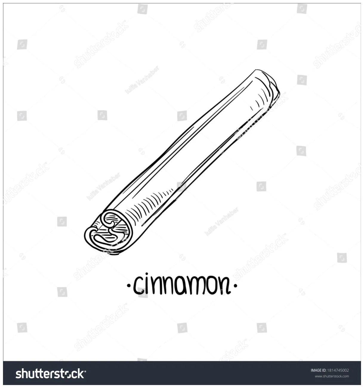 Cinnamon stick vector illustration isolated on stock vector royalty