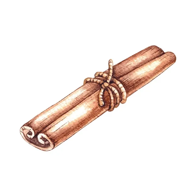 Premium vector watercolor cinnamon stick on a white
