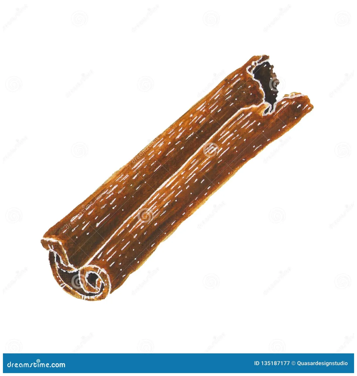 Cinnamon stick isolated on white. watercolor art stock of
