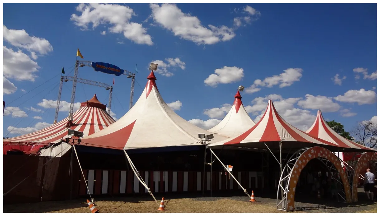 Meer dan 1.000 gratis afbeeldingen van Circus en Clown - Pixabay