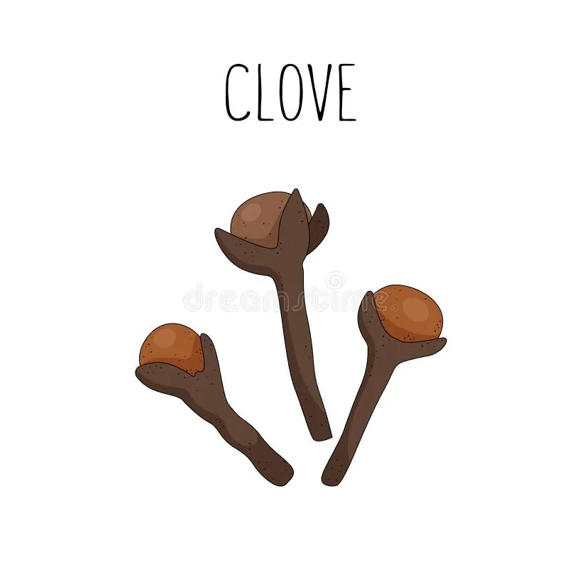 Clove spice color flat icon stock vector illustration of seeds, food