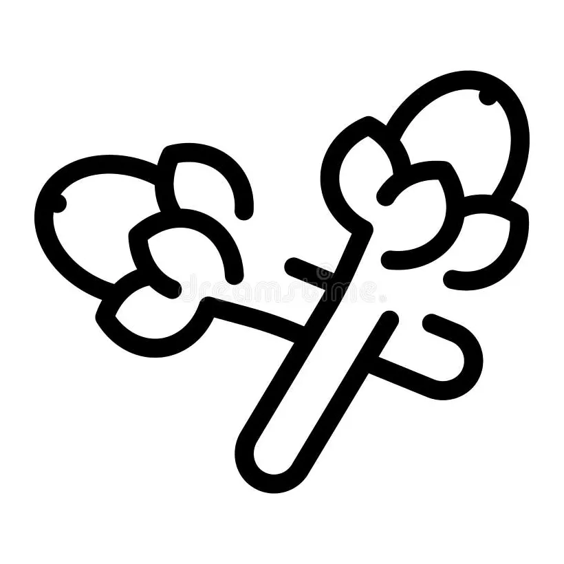 Clove spice icons vector hexahedron stock vector illustration of food