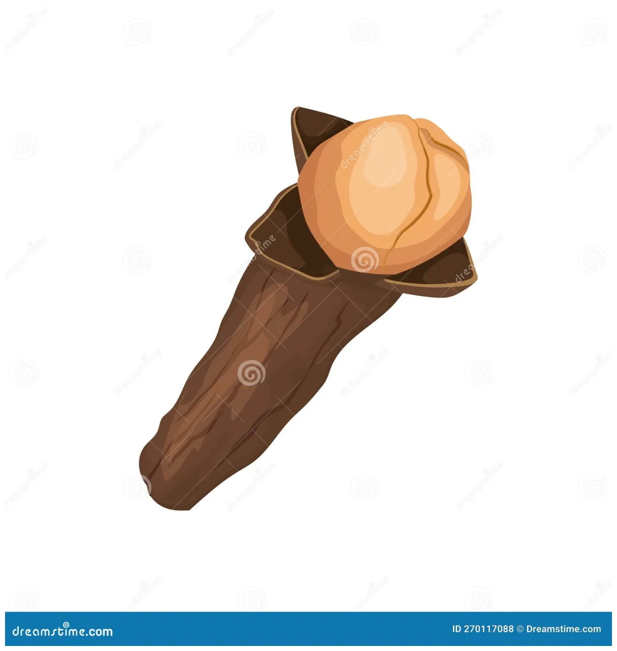 Clove spice cartoon vector illustration color sign stock illustration