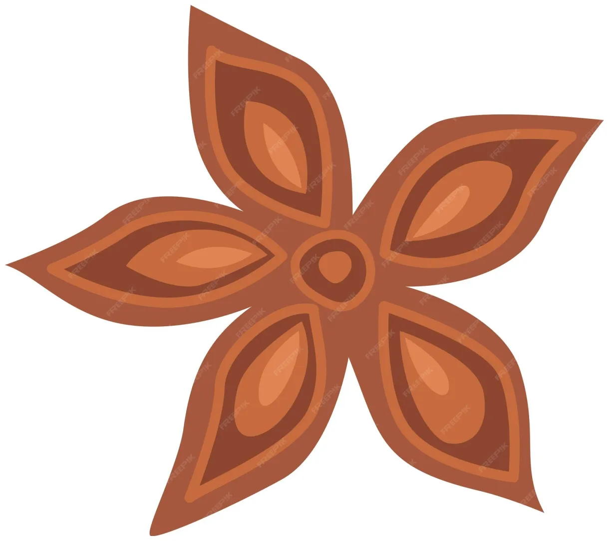 Premium vector clove spice flower