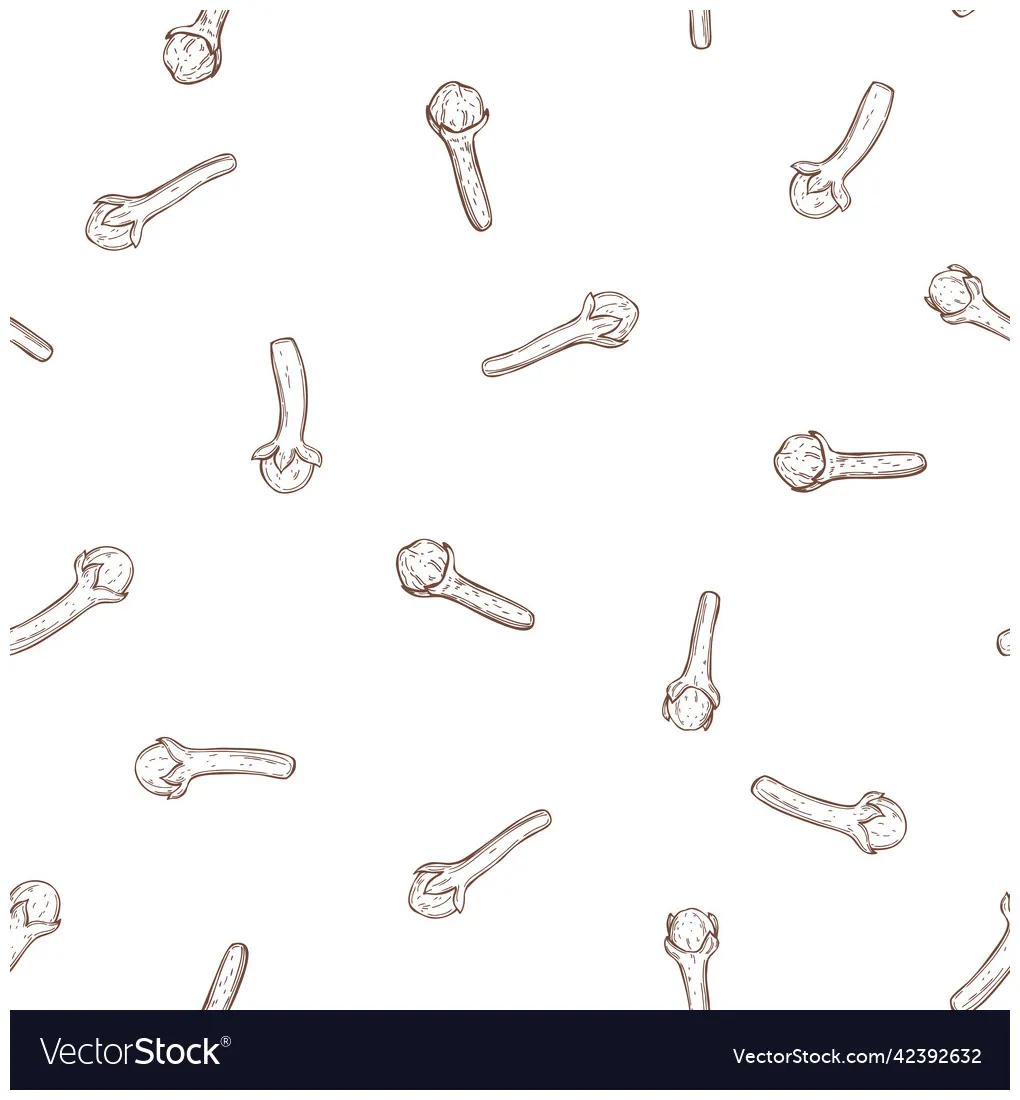 Clove spice pattern vector vectorstock