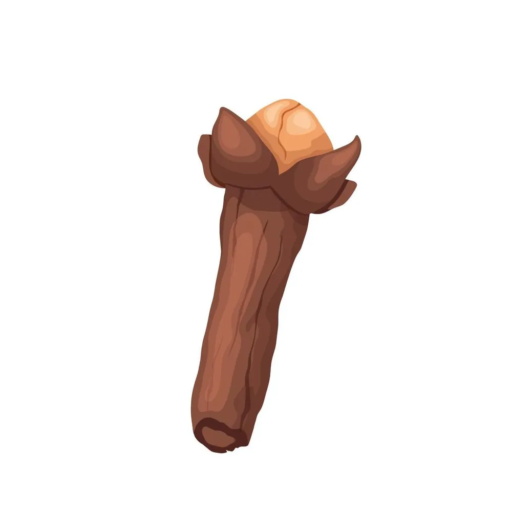 Clove spice cartoon vector illustration 20295617 vector art at vecteezy