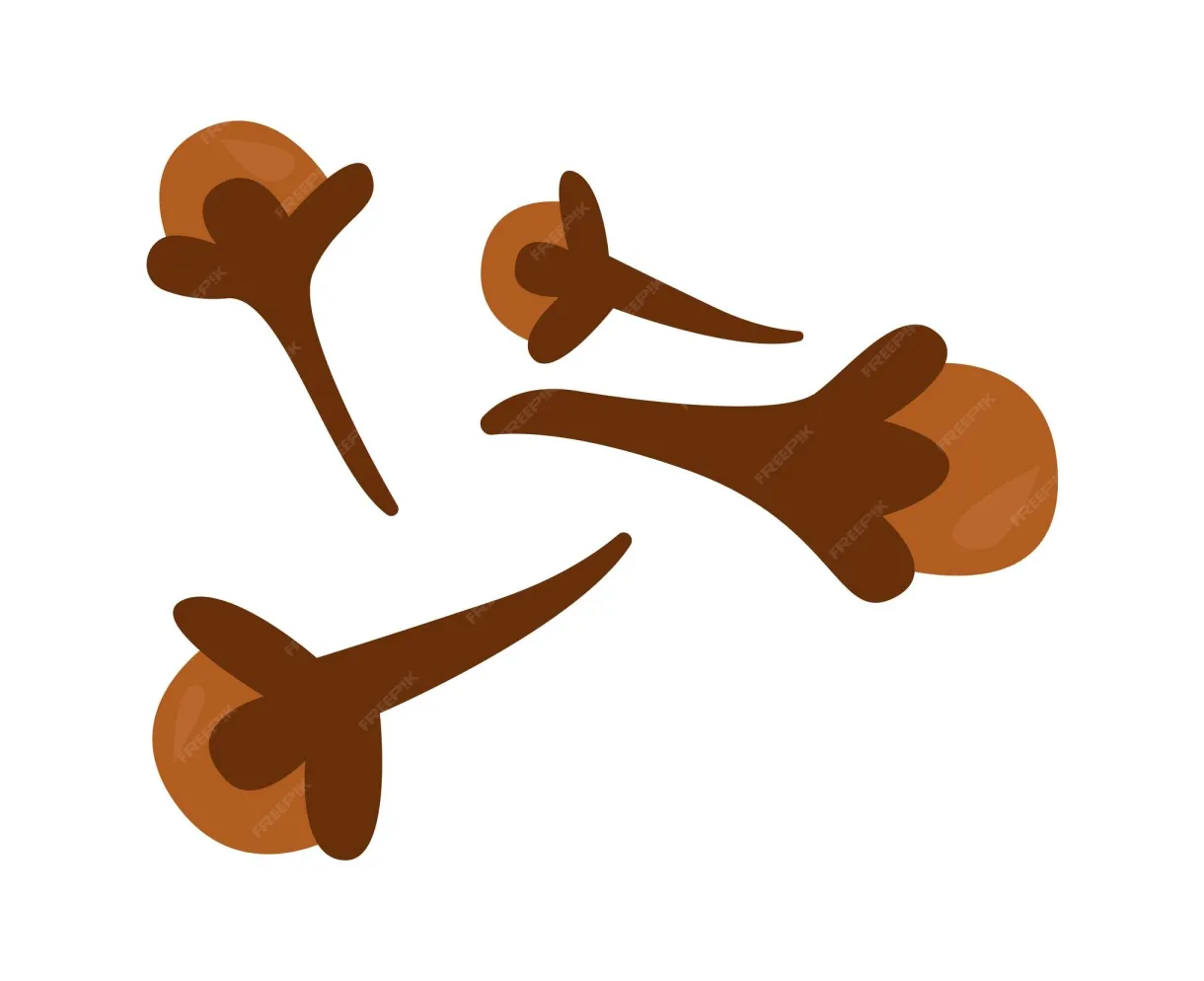 Premium vector clove herb spice vector illustration