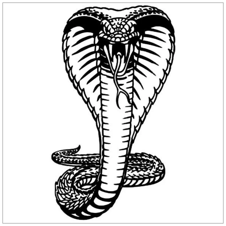 King Cobra Snake Coloring Page - ColoringBay