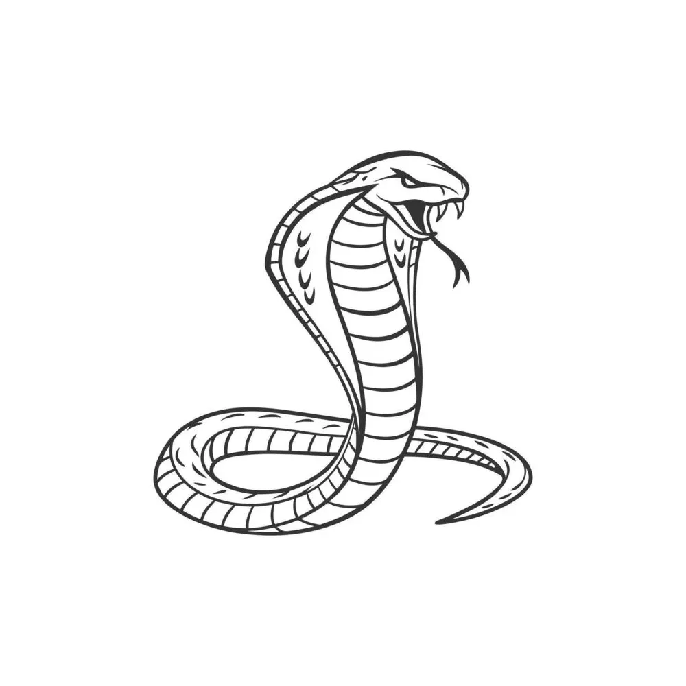 Cobra snake coloring page 53794582 Vector Art at Vecteezy