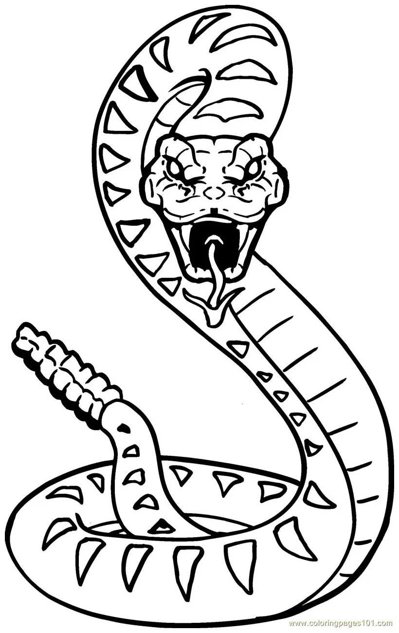 King cobra snake coloring pages download and print for free