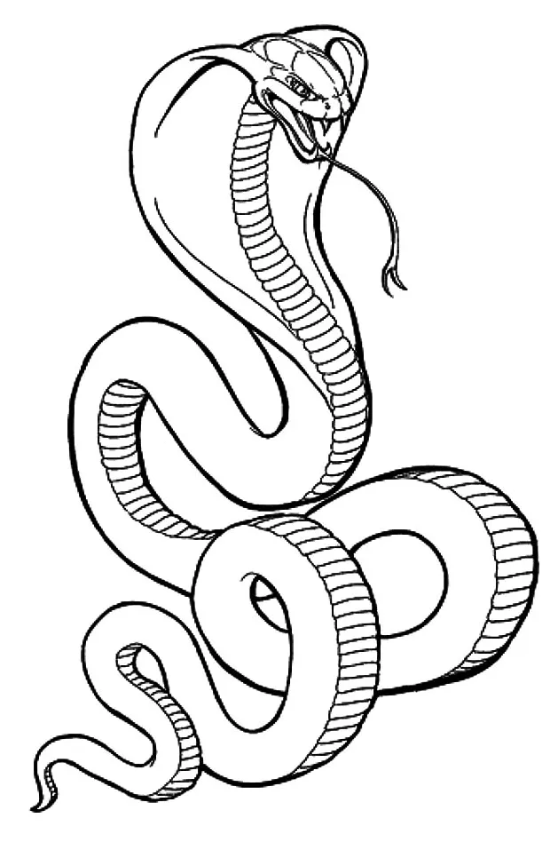 King cobra snake coloring pages download and print for free
