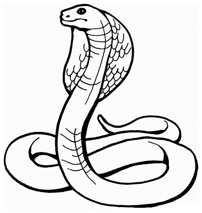 Cobra Snake Coloring Page - Free Printable Coloring Pages for Kids