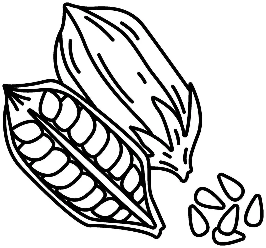 Cocoa beans coloring page 50709113 Vector Art at Vecteezy