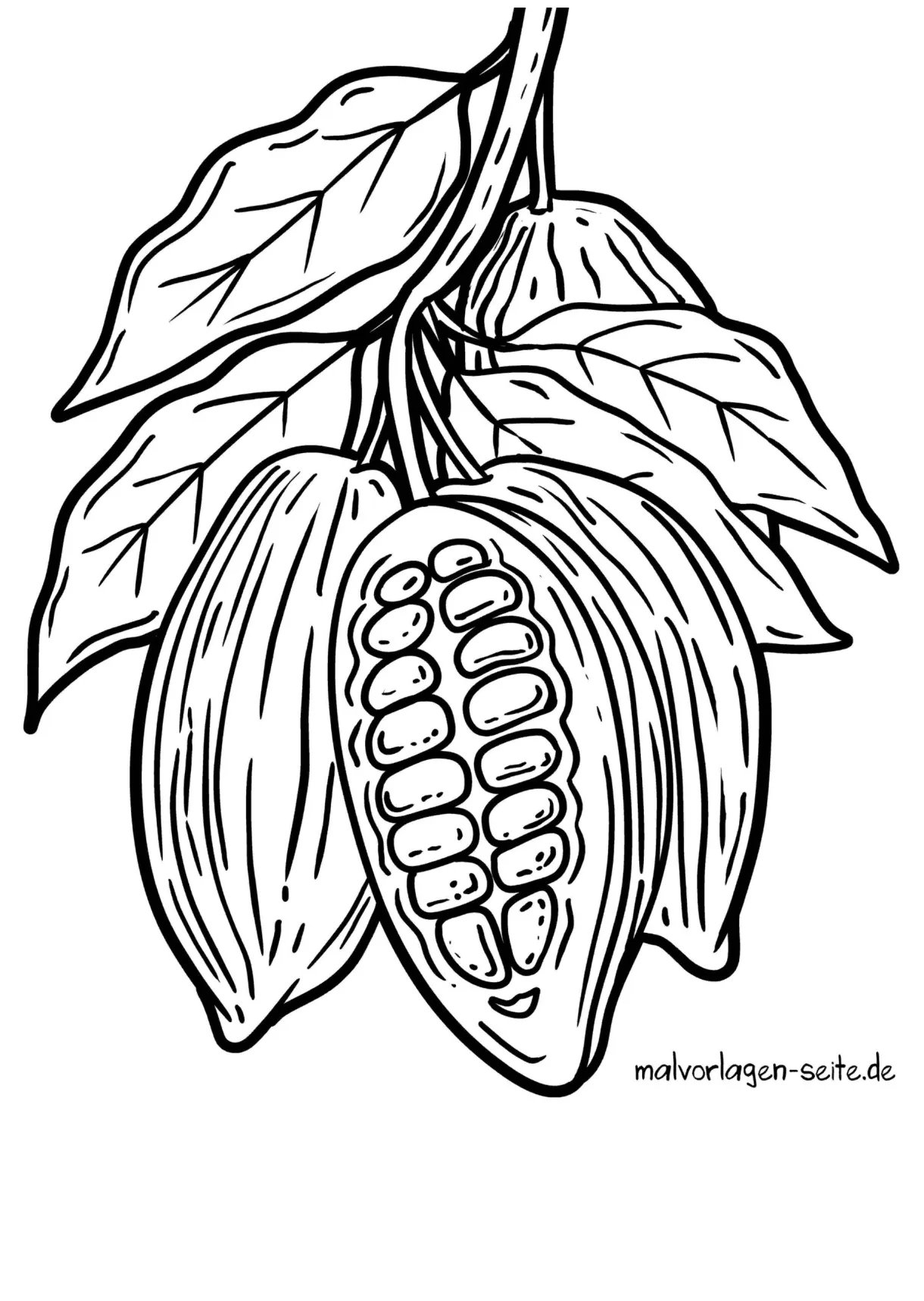 Bean Plant Coloring Page