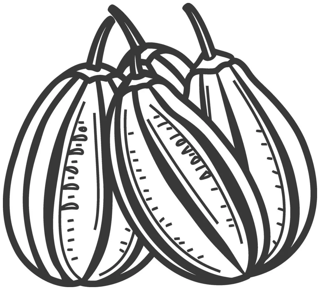 Cocoa beans coloring page 50283759 Vector Art at Vecteezy