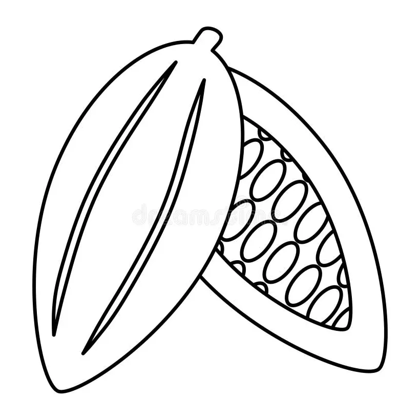 Cocoa Bean Plant Fruit Chocolate Day Element Stock Illustration