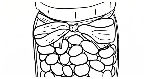 Cocoa Bean Coloring Page Coloring Pages