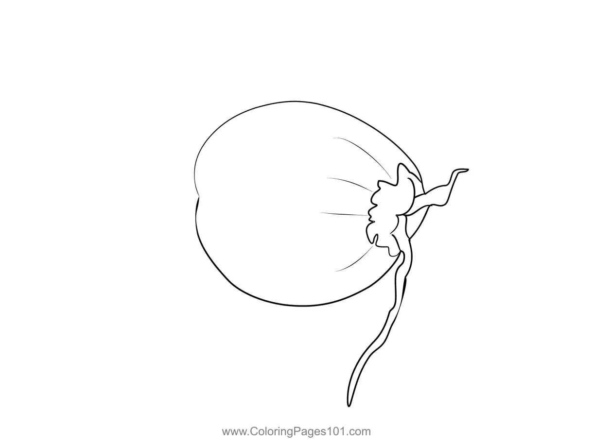 Coconut 3 Coloring Page for Kids - Free Coconut Printable Coloring