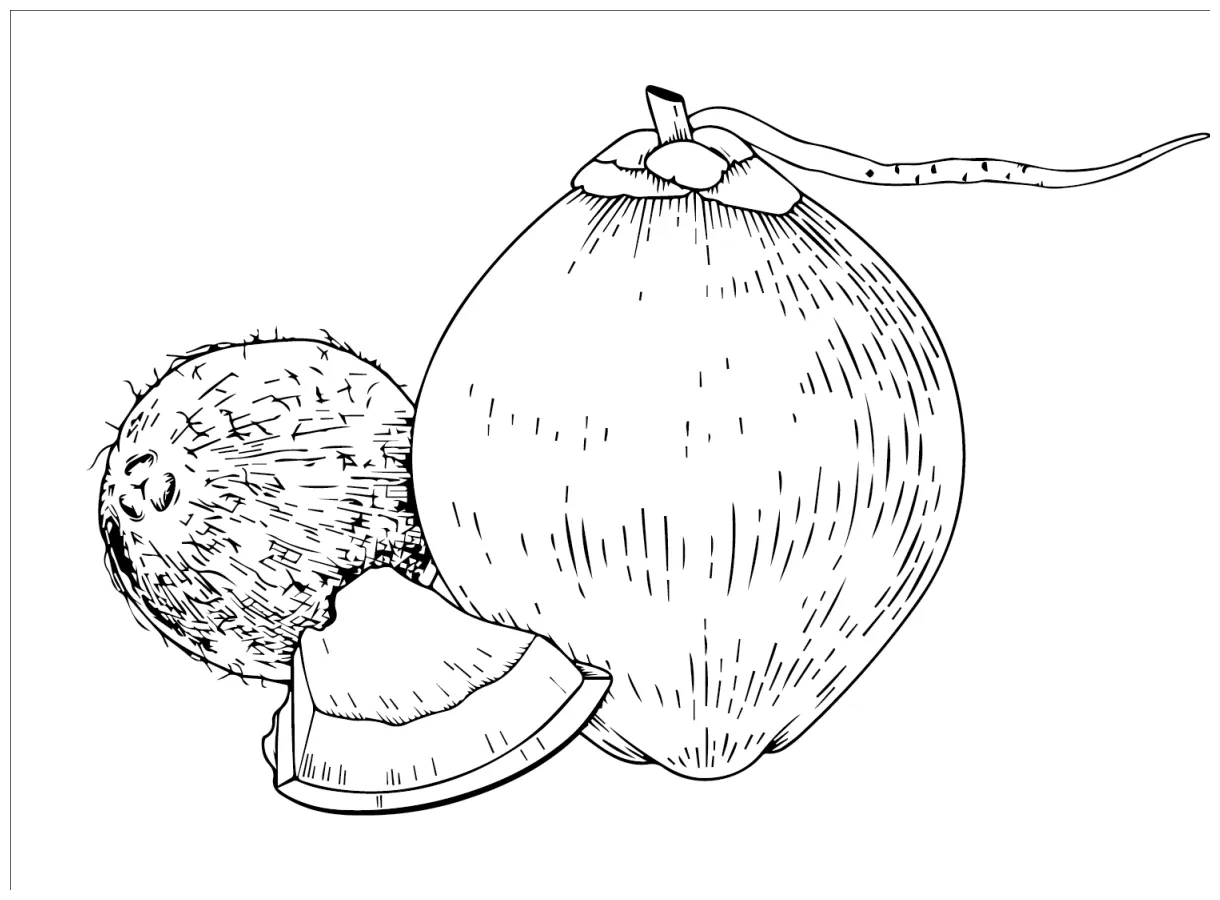 Free Coconut Coloring Page - Free Printable Coloring Pages
