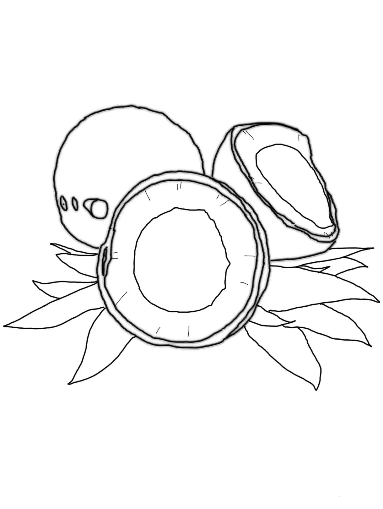 Coconut coloring page - ColouringPages