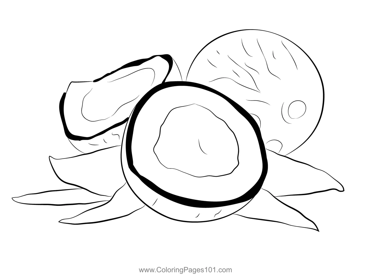 Coconut Coloring Page for Kids - Free Coconut Printable Coloring Pages